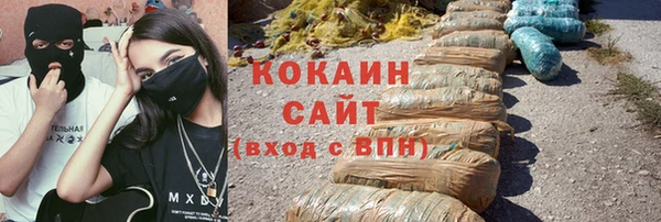 дживик Арсеньев
