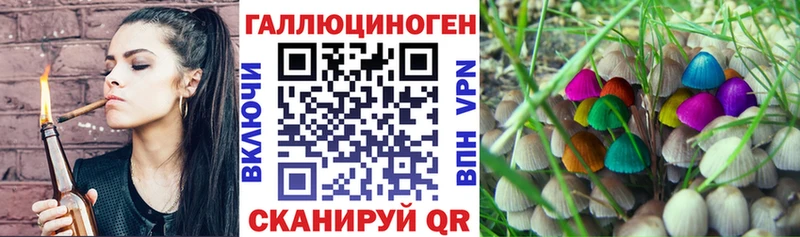 Псилоцибиновые грибы Psilocybine cubensis  Райчихинск 